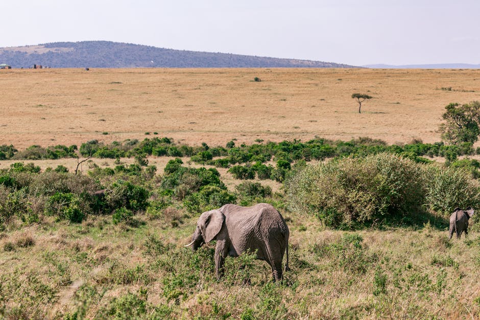 Afrika Reisezeit: wann man am besten fahren sollte