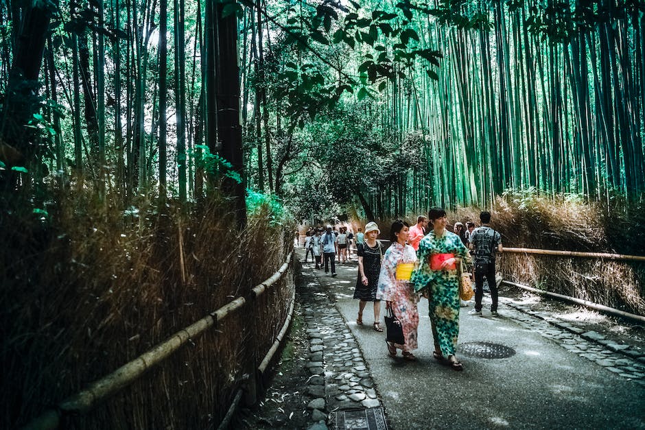 Japan Reiseerlaubnis ab 2021