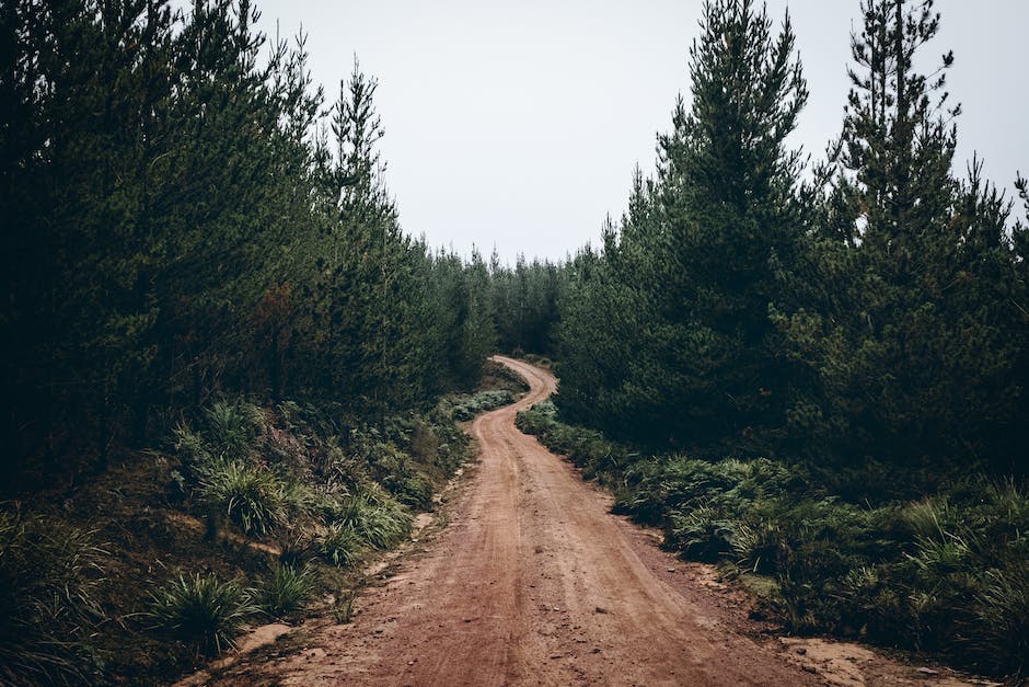 Reise nach Schweden zu jeder Jahreszeit.