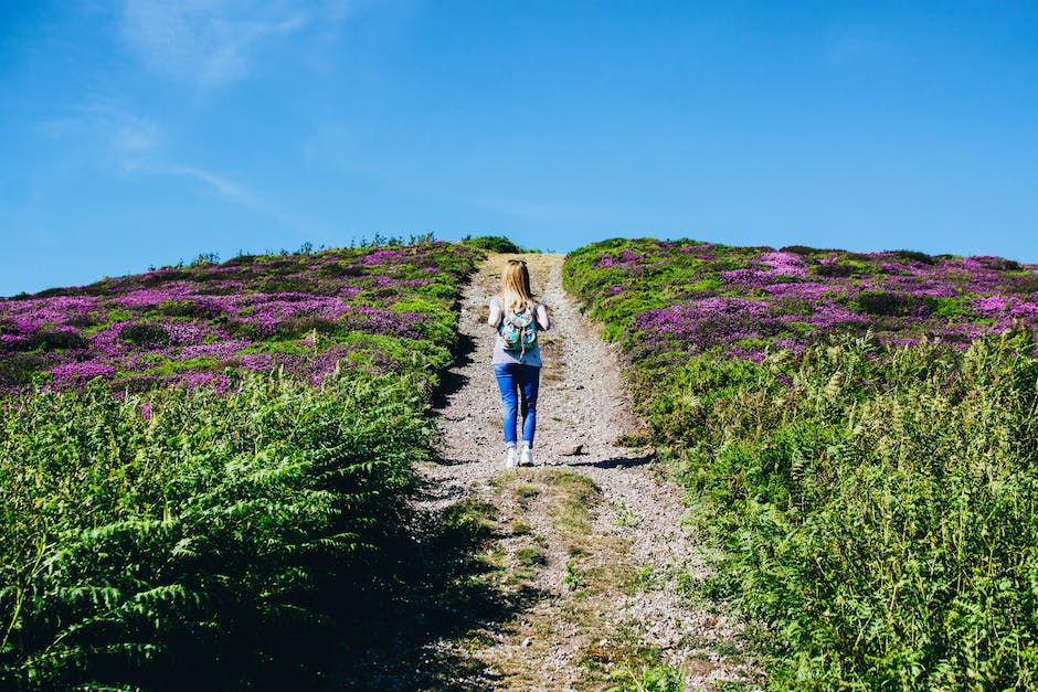 Reisebuchungen - wann ist der beste Zeitpunkt?