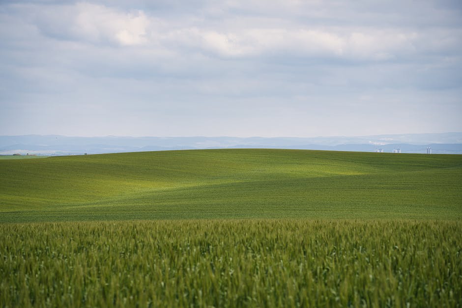 Reisen im Internet günstig buchen