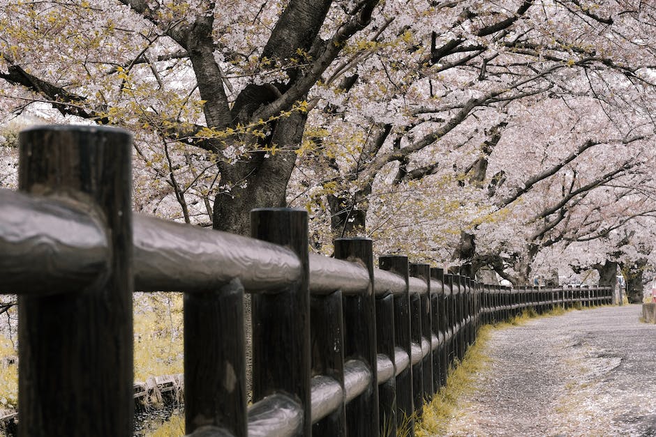  Reise nach Japan: Erleben Sie Kultur und Herzlichkeit