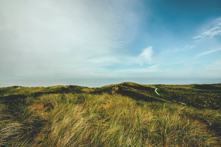 benötigte Utensilien für eine Reise nach Irland