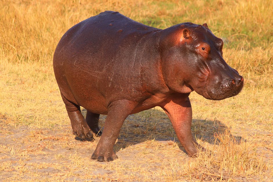 Südafrika Reise-Checkliste