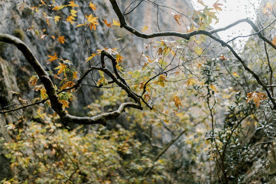 Oktober-Reiseziele