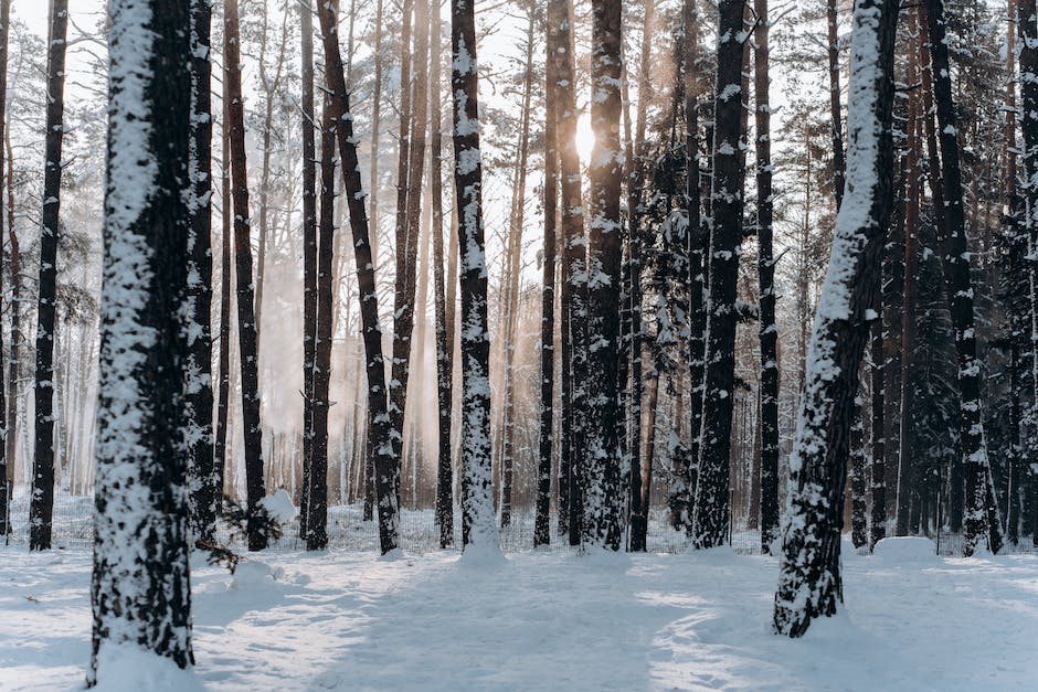 Reiseziele im Januar